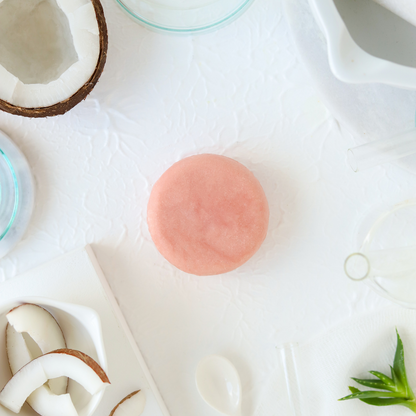 Konsantre Katı Şampuan, No:2, Besleyici, Yenileyici, Doğal, Sürdürülebilir, Vegan