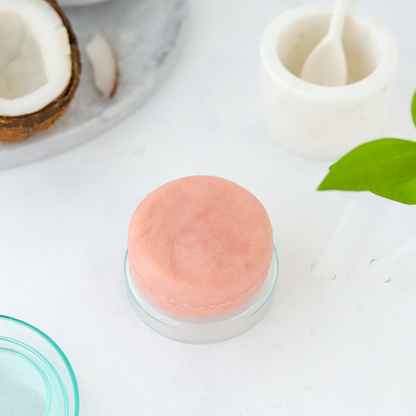 Konsantre Katı Şampuan, No:2, Besleyici, Yenileyici, Doğal, Sürdürülebilir, Vegan