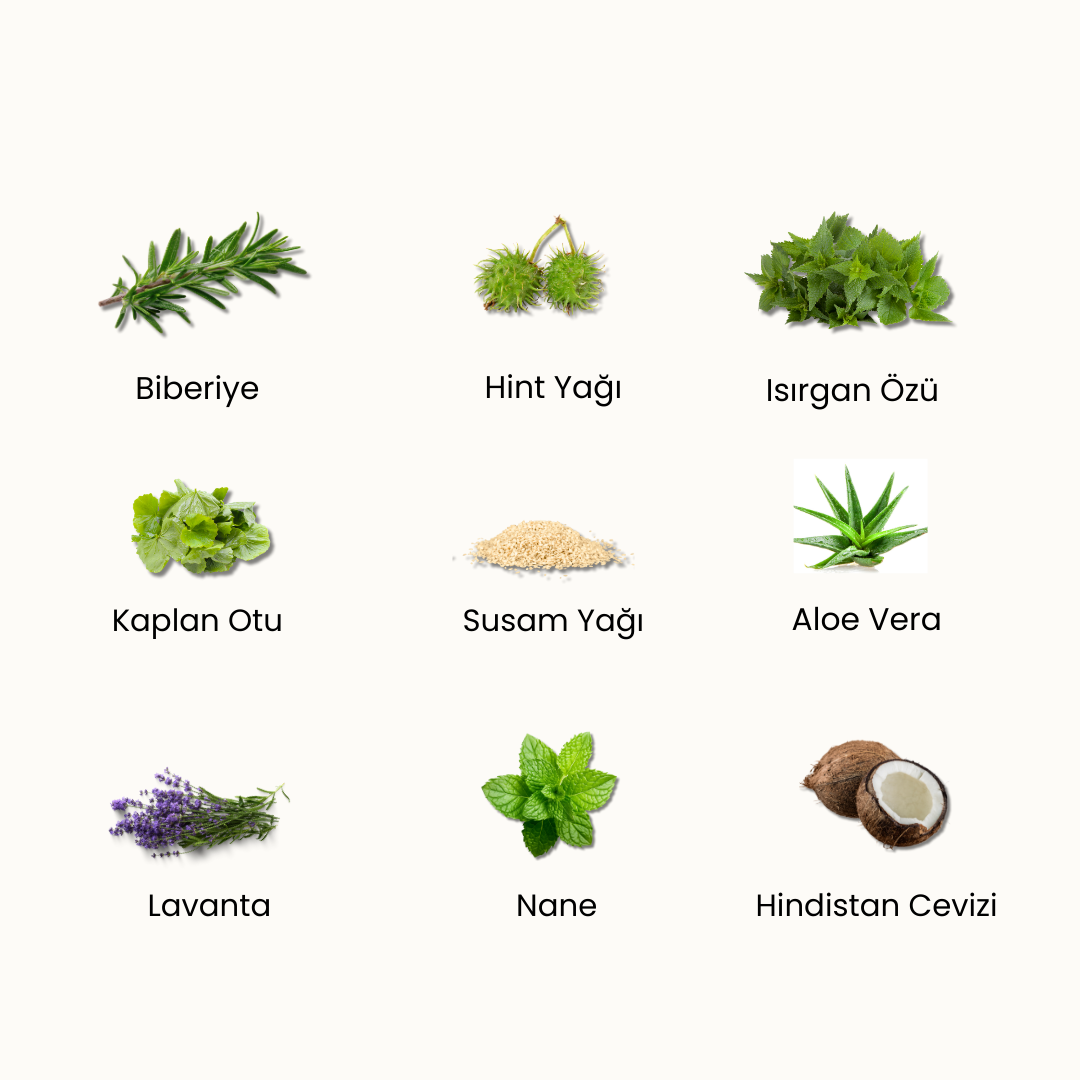 No:1 Konsantre Saç Bakım Serumu: Kökten Uca Güç ve Kolay Arınan Bakım