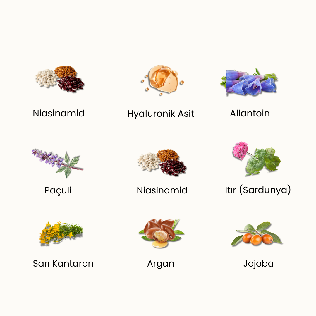 Renovate & Hydrate: Ödüllü Bariyer Güçlendirici Su Bazlı Nemlendirici Krem, Roza Dostu, %100Doğal& Temiz İçerik