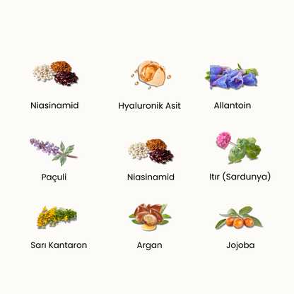 Renovate & Hydrate: Ödüllü Bariyer Güçlendirici Su Bazlı Nemlendirici Krem, Roza Dostu, %100Doğal& Temiz İçerik