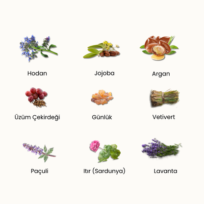 Like a Surgeon Serum – Gece Onarımı için Besleyici Serum, Doğal ve Temiz İçerik