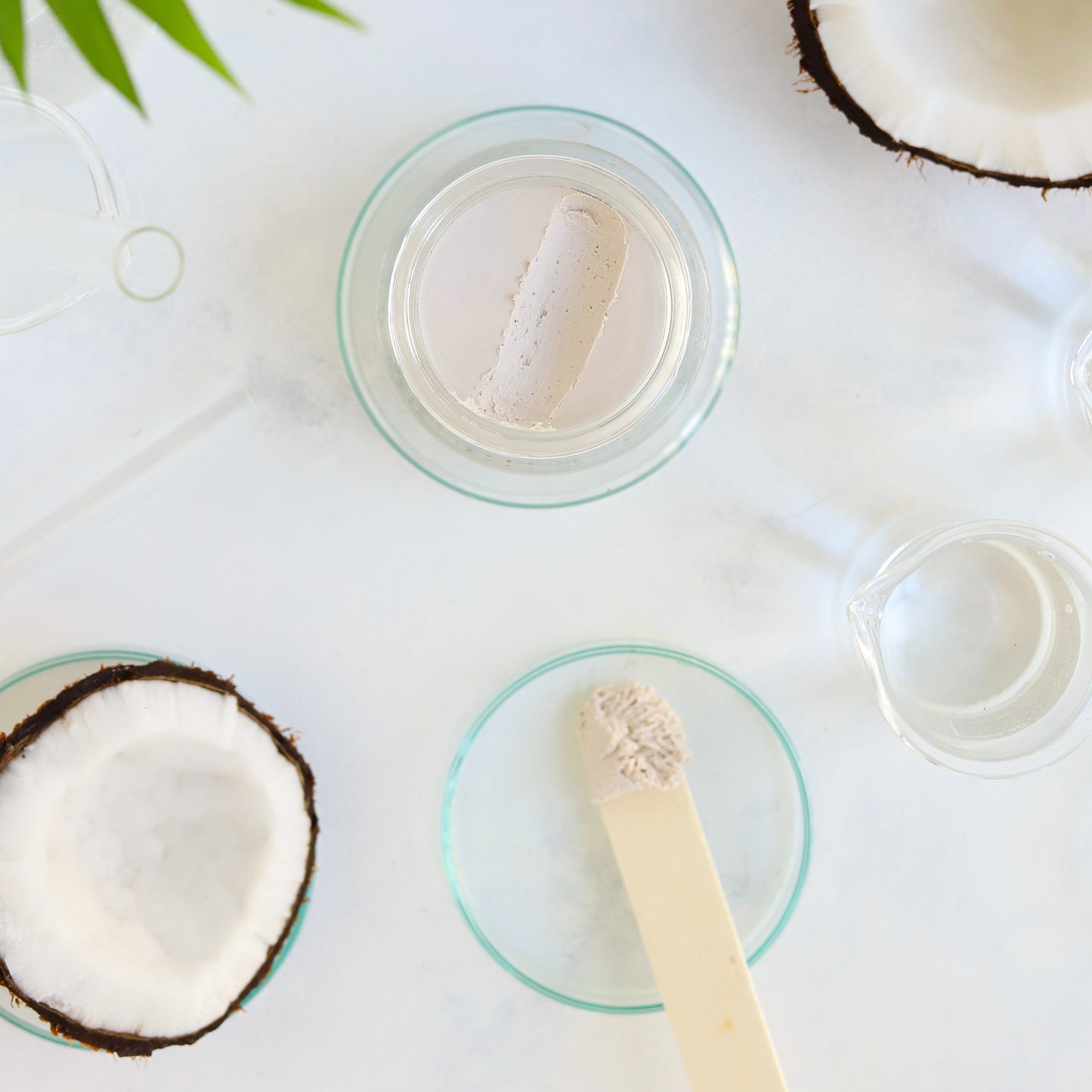 Natural Deo- Natural Cream Deodorant - Lemon Grass 